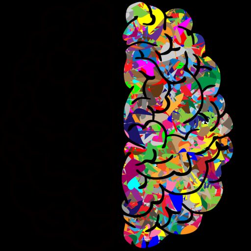 cropped brain mind anatomy 2750415